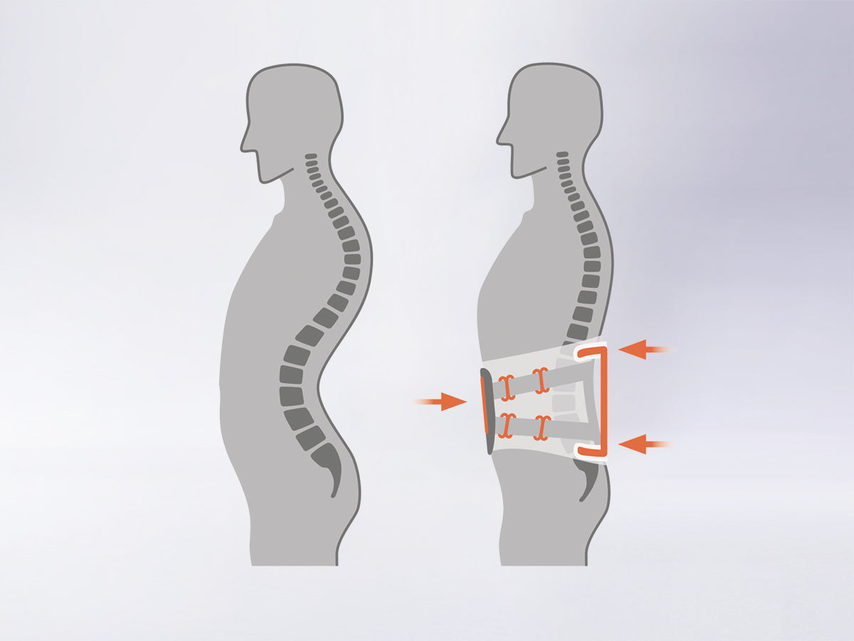 vertebradyn force 