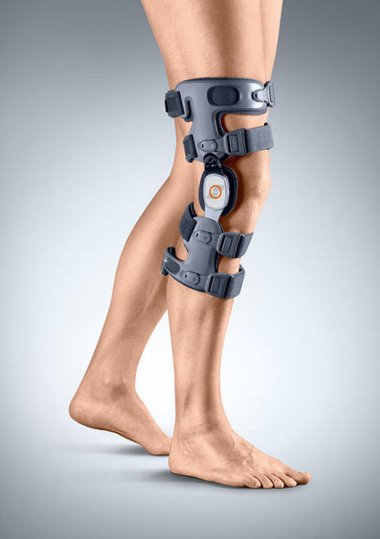 Knee supporter
